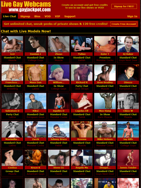 Live Gay Webcams